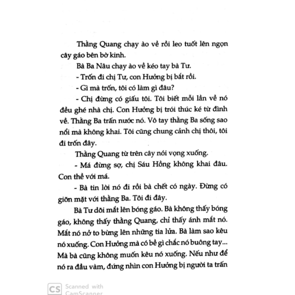 Cửa Sổ Hình Tia Chớp