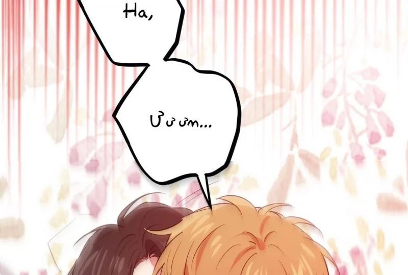 những chú thỏ của hapypy chapter 64 56