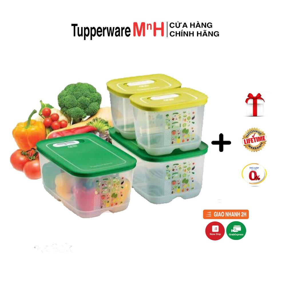 Bộ Hộp Trữ Mát Rau Củ Ventsmart 4 Tupperware, Hộp Có Nút Hô Hấp Giúp Trái Cây Tươi Lâu Hơn, Hộp Biết Thở