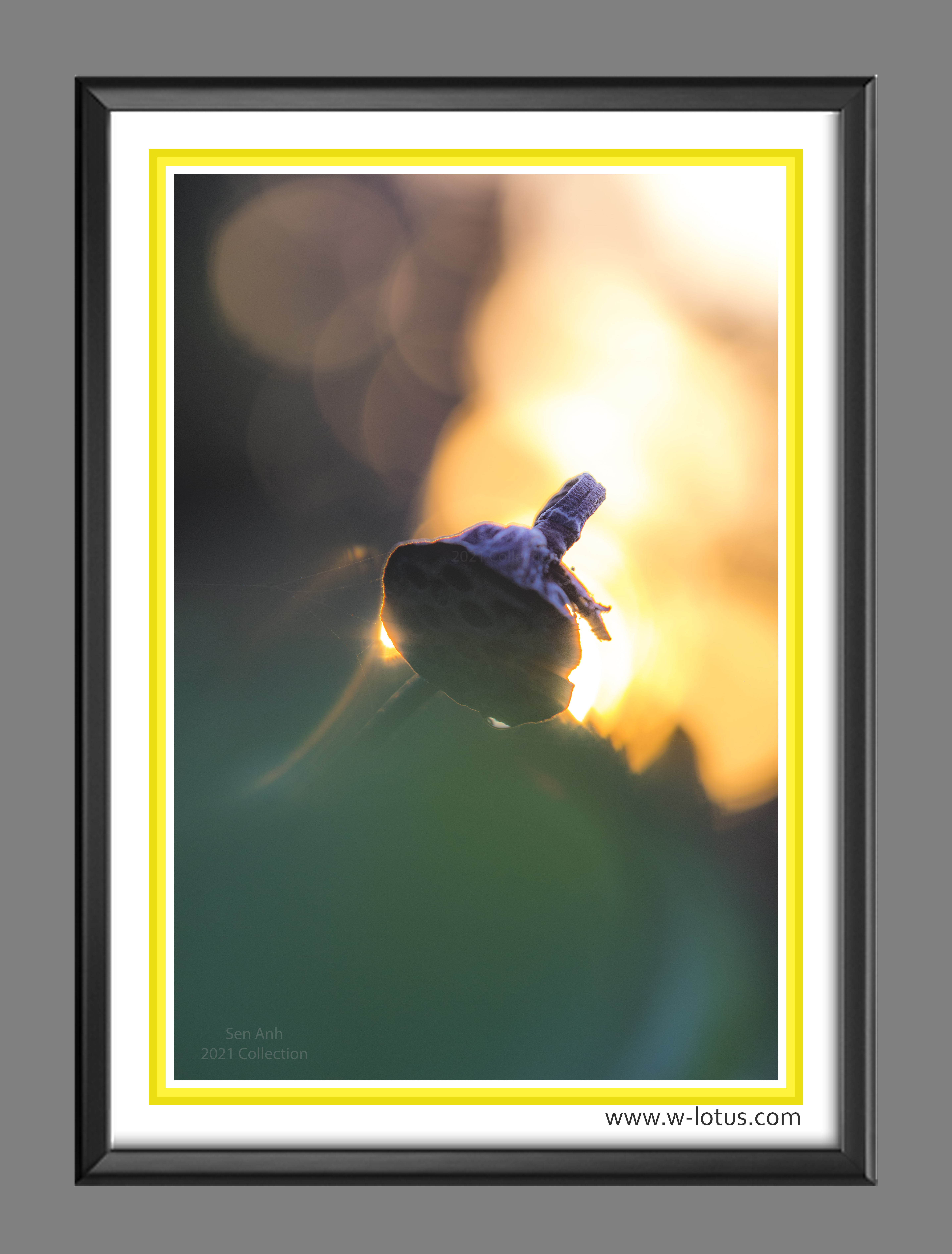 Tranh canvas hoa Sen treo phòng khách ST-00438