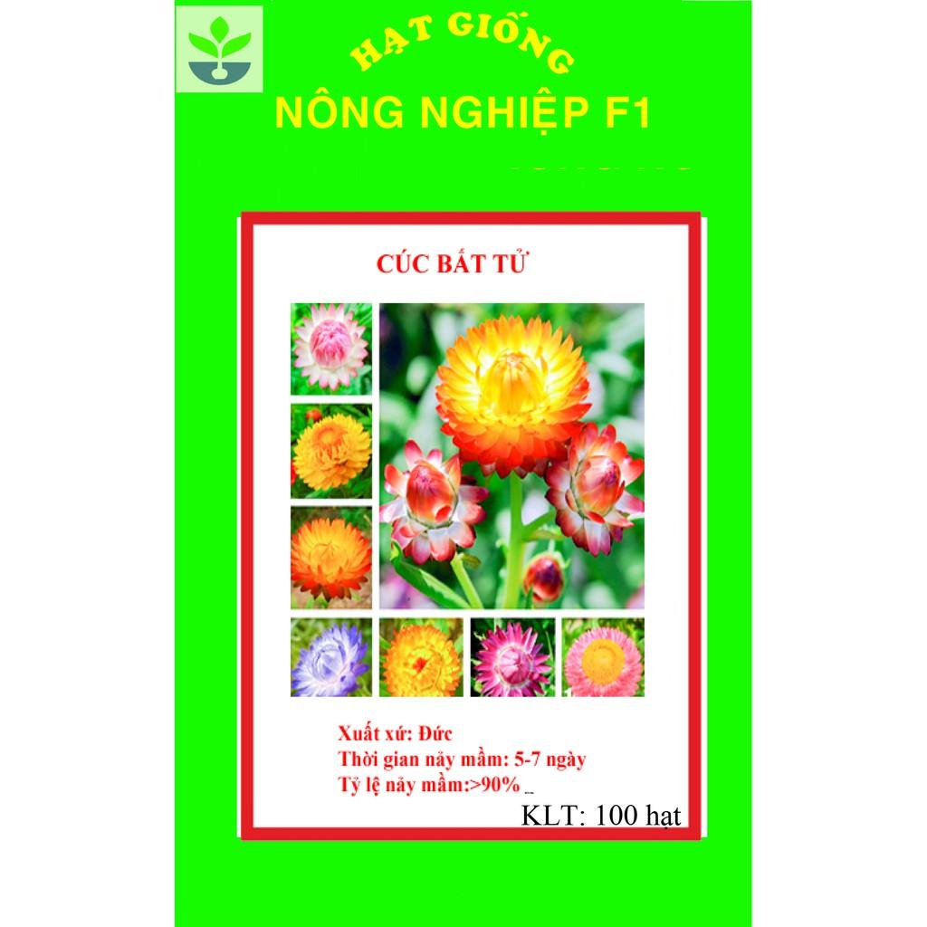 Gói 100 hạt giống cúc bất tử