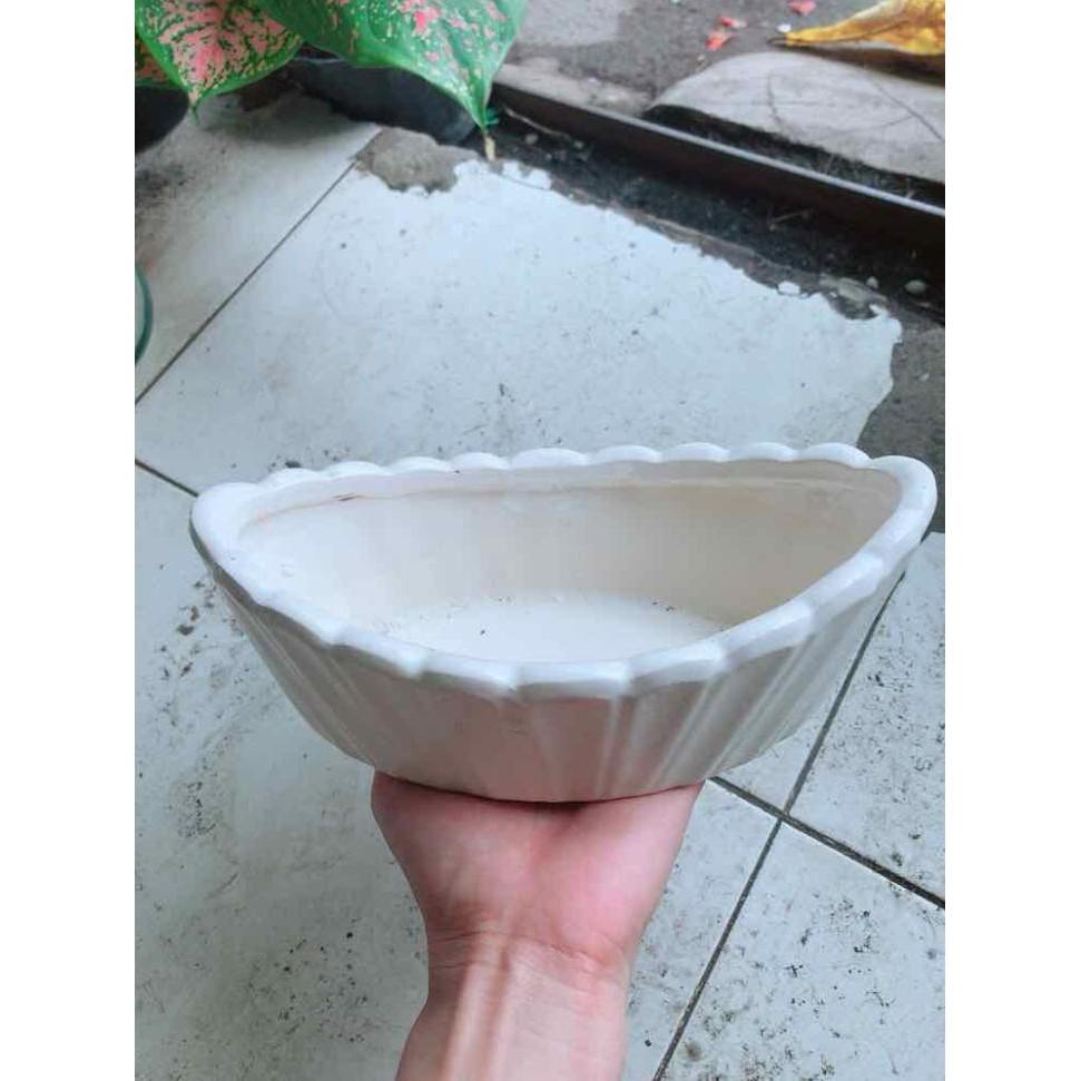 Chậu Trồng Cây Bán Chạy