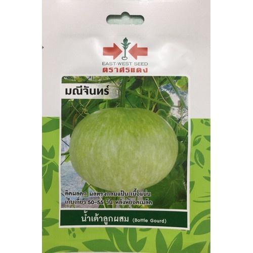 Hạt giống bầu quả tròn Thái - 1 gói 1gram