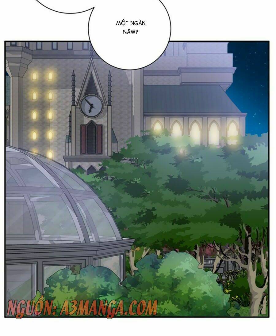 người yêu khát máu của tôi chapter 77 19