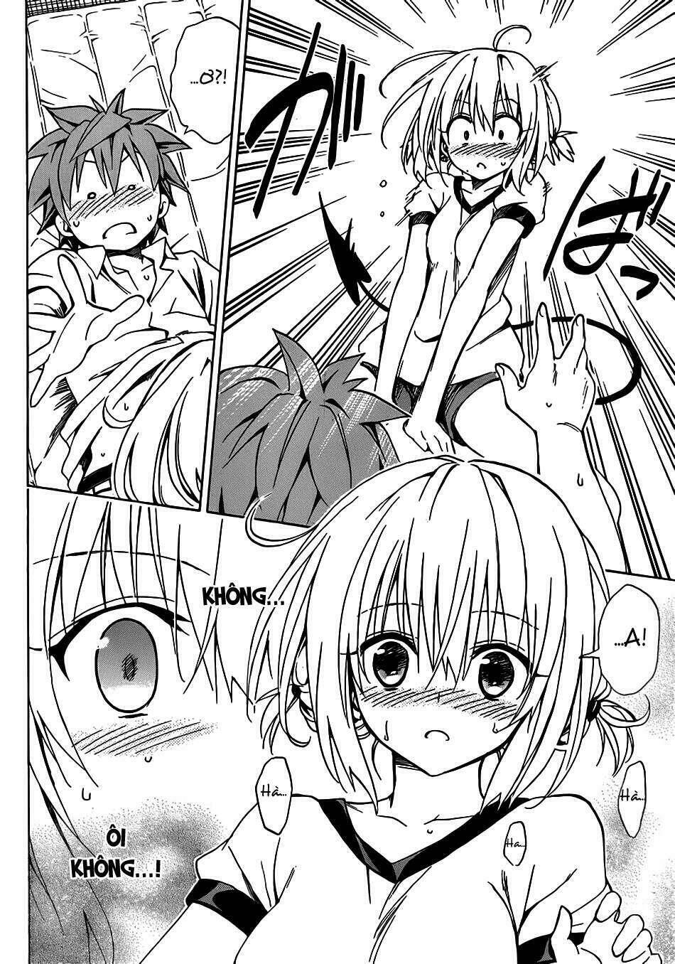 bọn tớ thích cậu! rito 2 - venus chapter 21 31