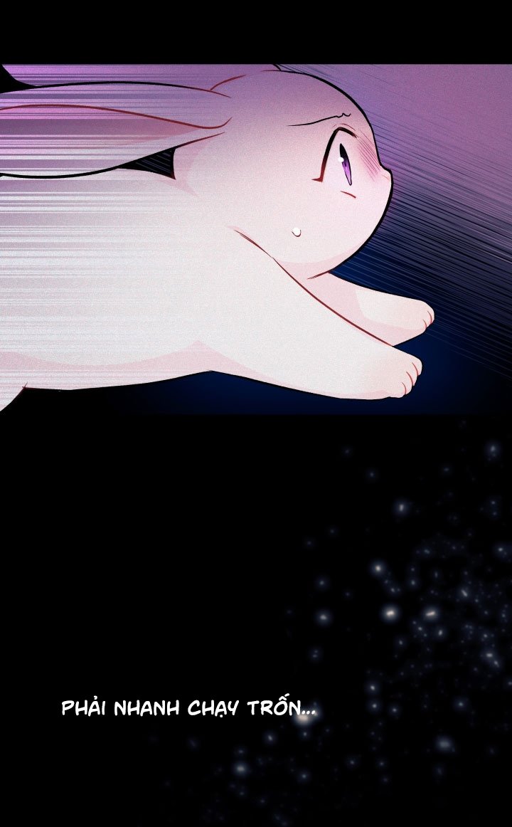 mối liên kết giữa báo đen và bé thỏ chapter 14 10