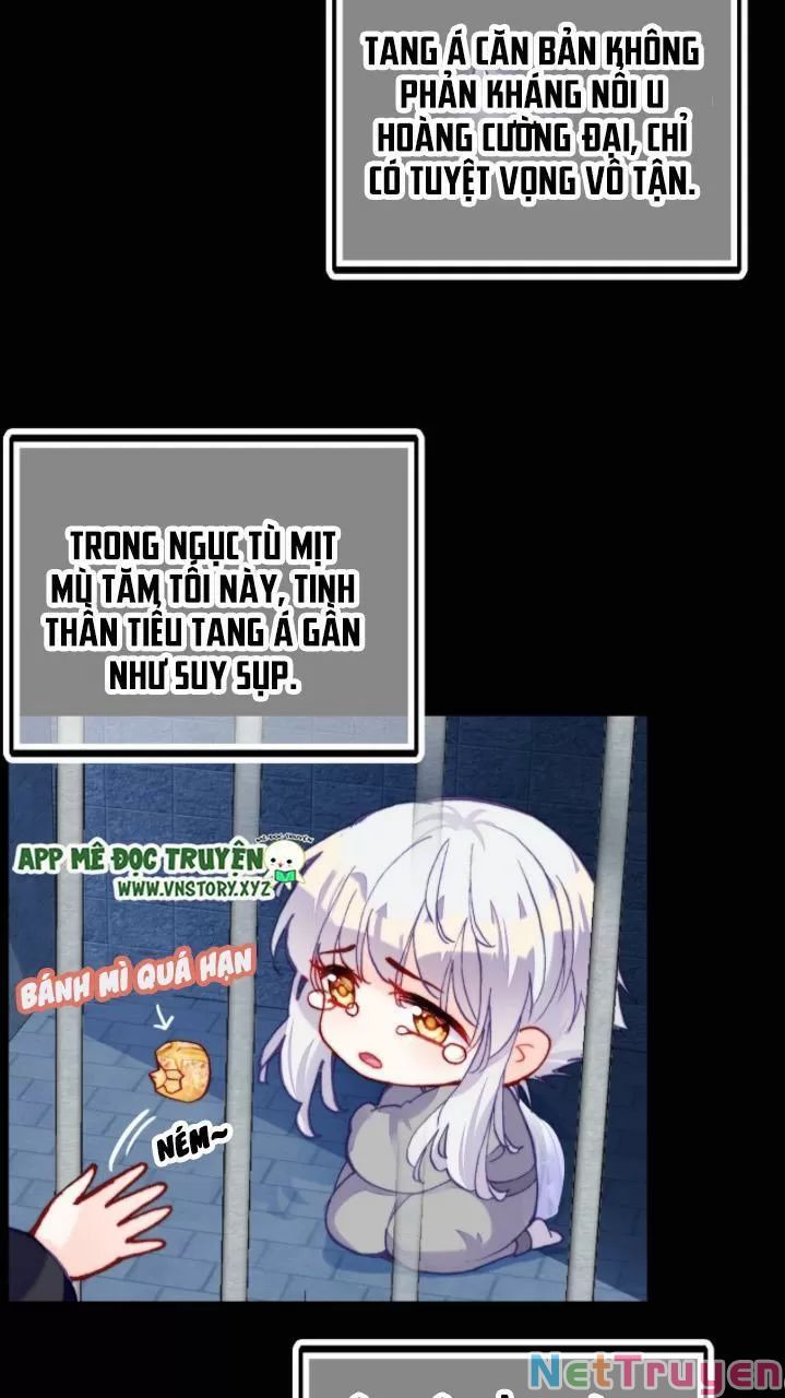 lại bị bệnh chiều chuộng quấn lấy chapter 21 9