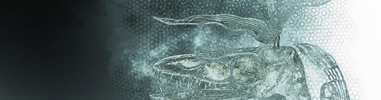 cổ tích về người mẹ kế chapter 90 209