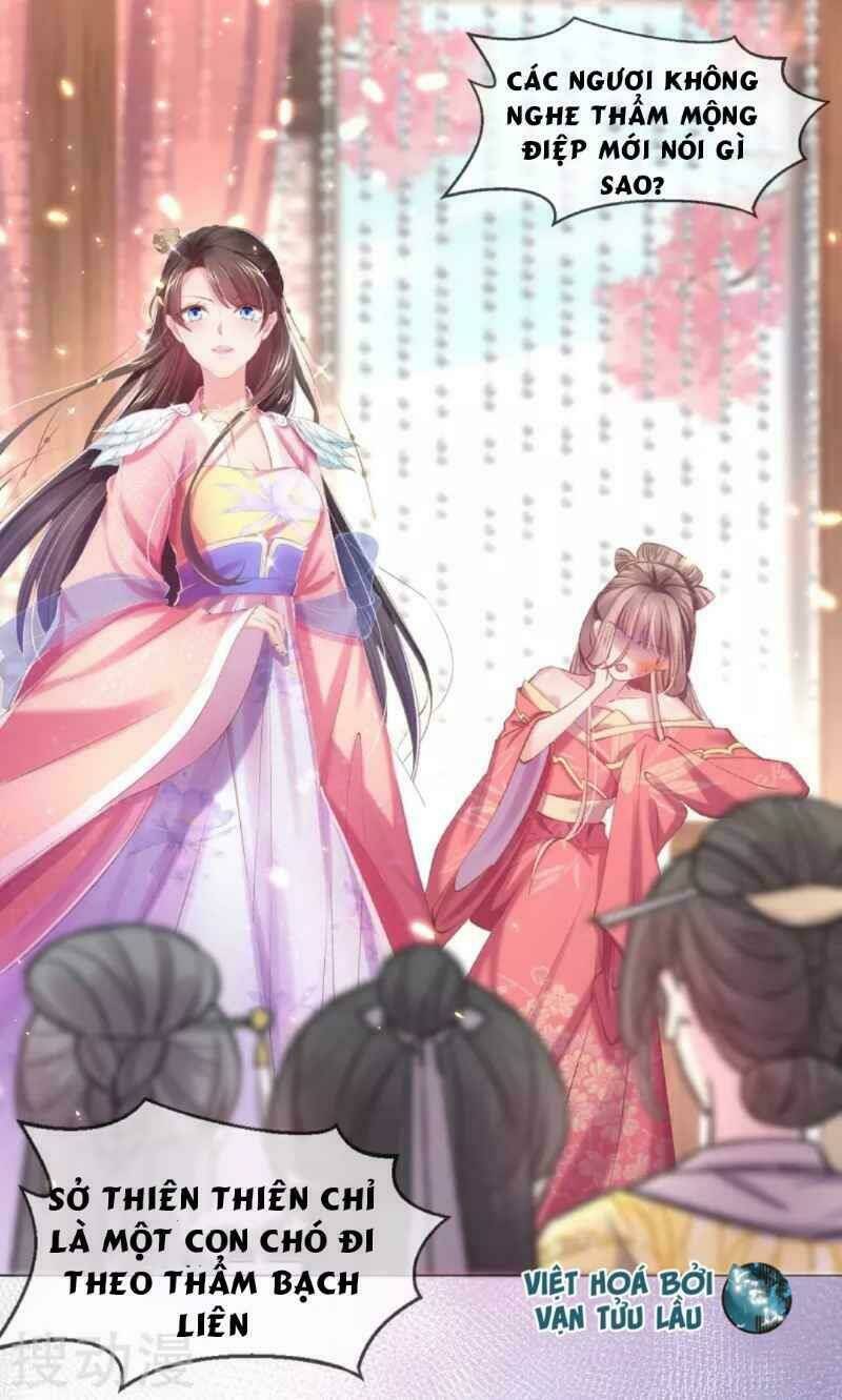 thị huyết y phi chapter 62 15