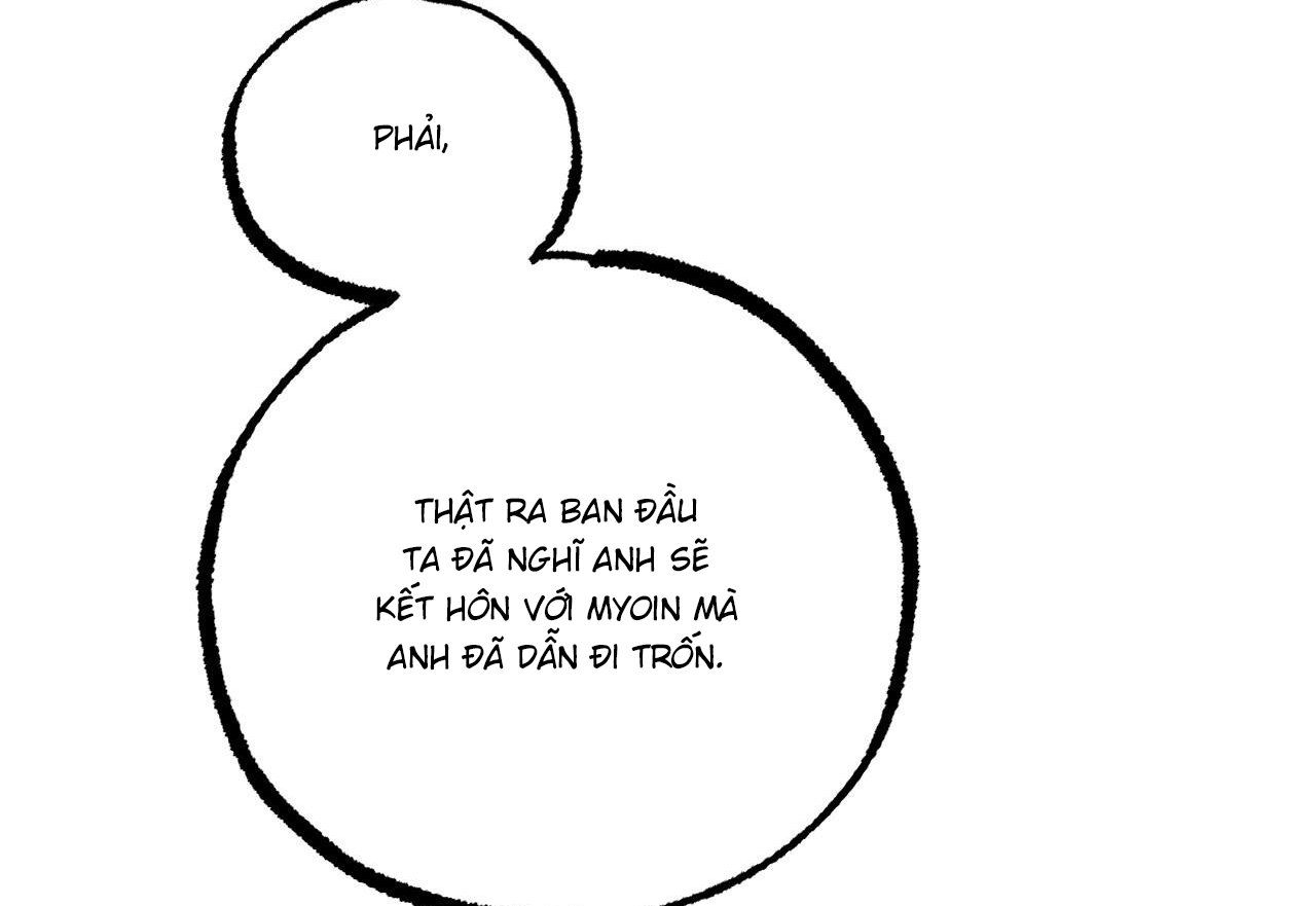 những chú thỏ của hapypy chapter 59 188