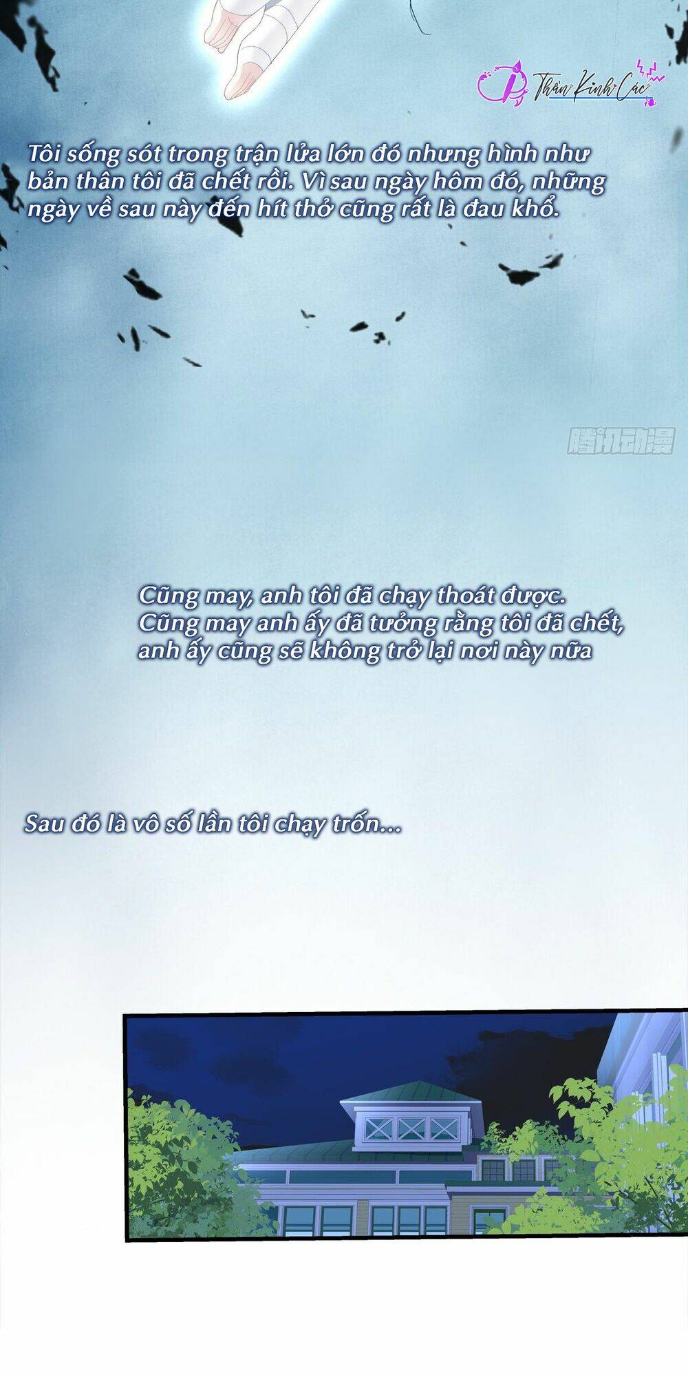 toàn bộ nắm trong tay chapter 113 31