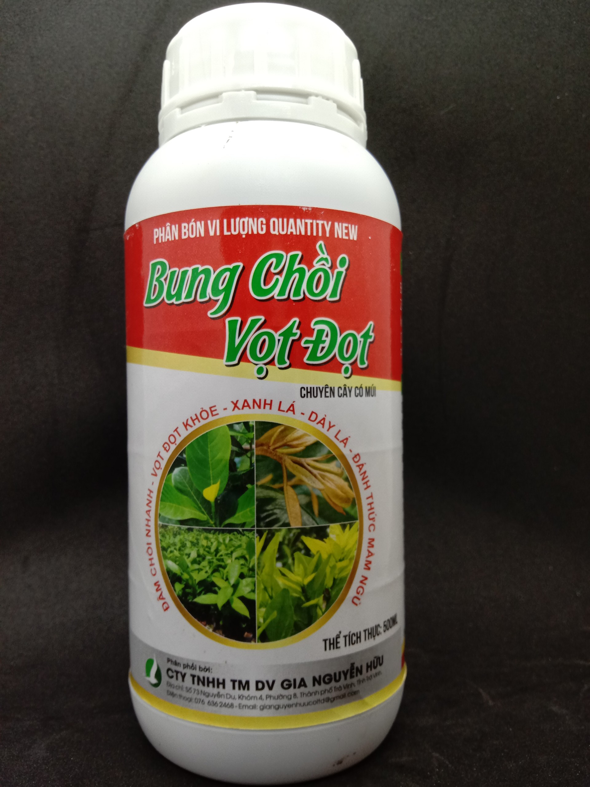 BUNG CHỒI VỌT ĐỌT CÂY ĂN TRÁI