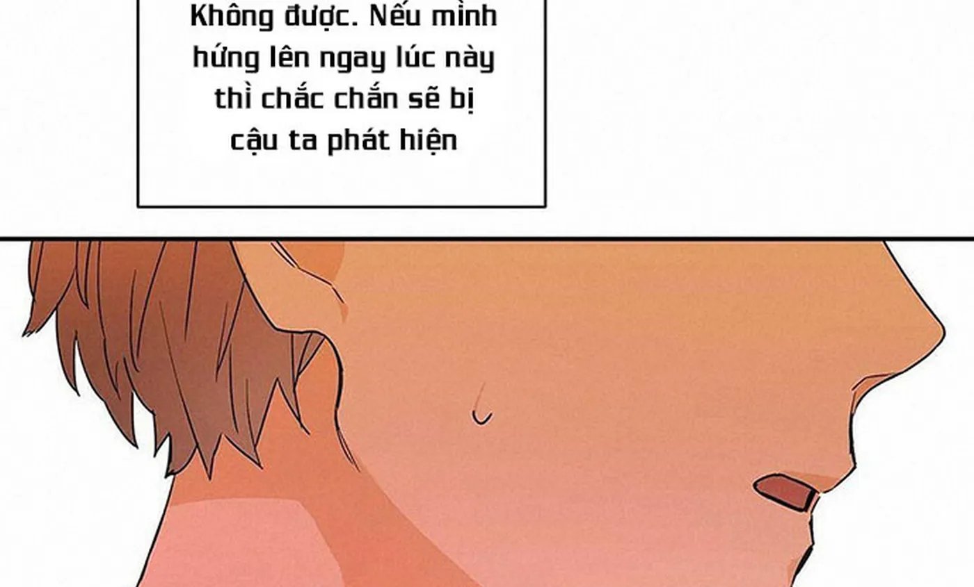 guide cấp b chapter 7 141