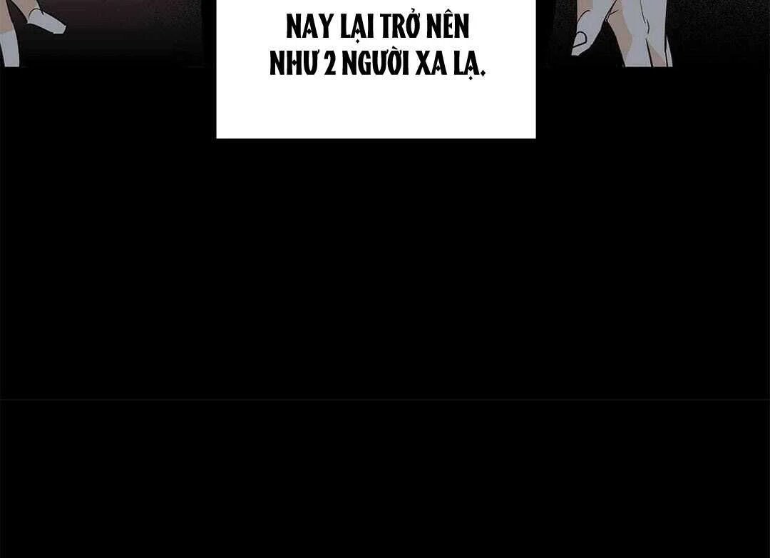 guide cấp b chapter 41 21