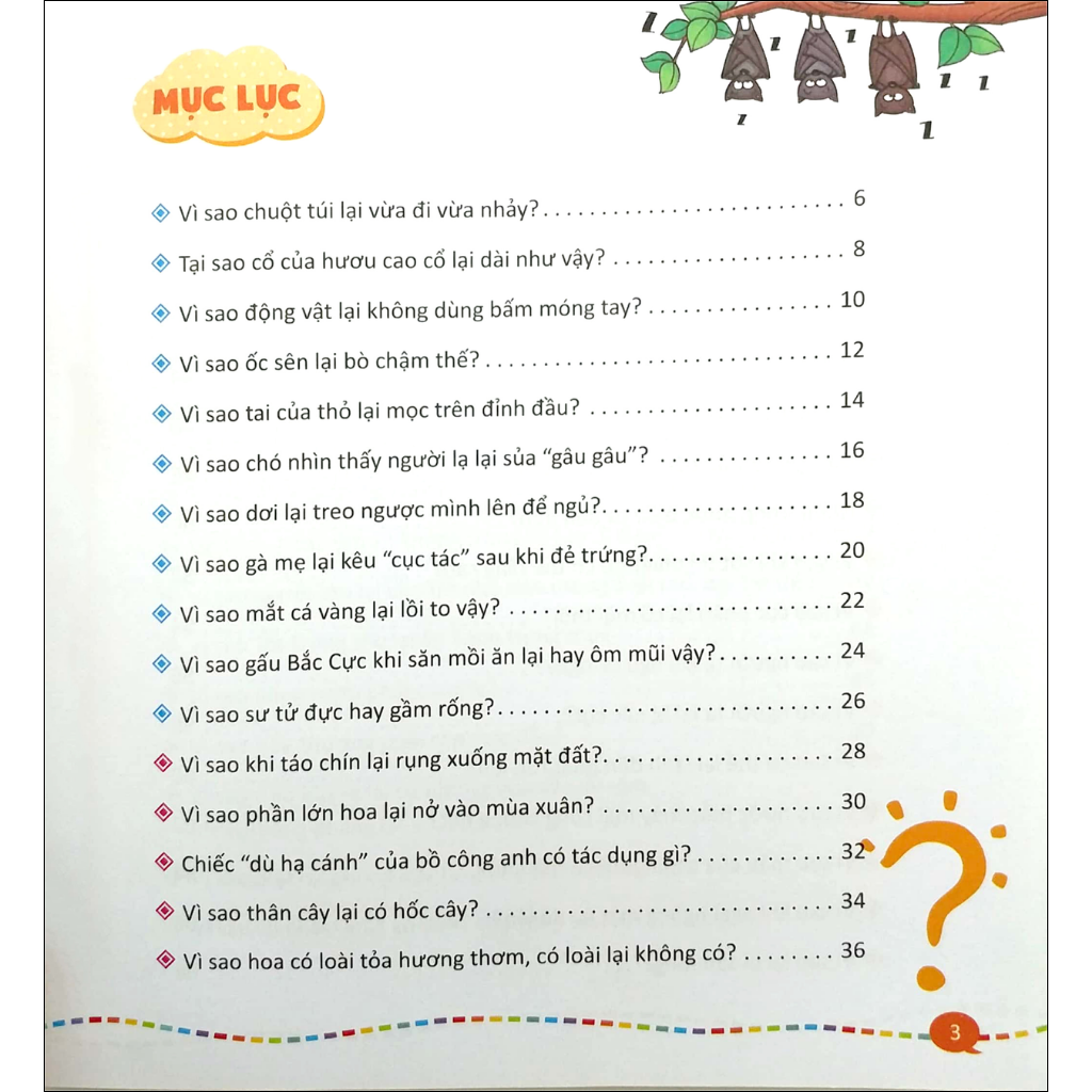 10 Vạn Câu Hỏi Vì Sao - Những Câu Hỏi Lý Thú Và Thông Minh  - Tái Bản