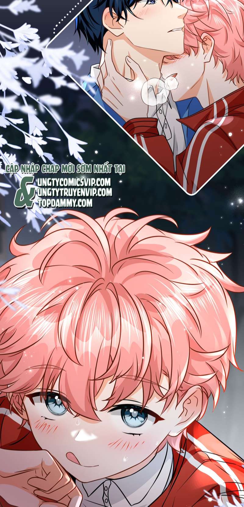 tín tức tố nói chúng ta không thể chapter 69 35