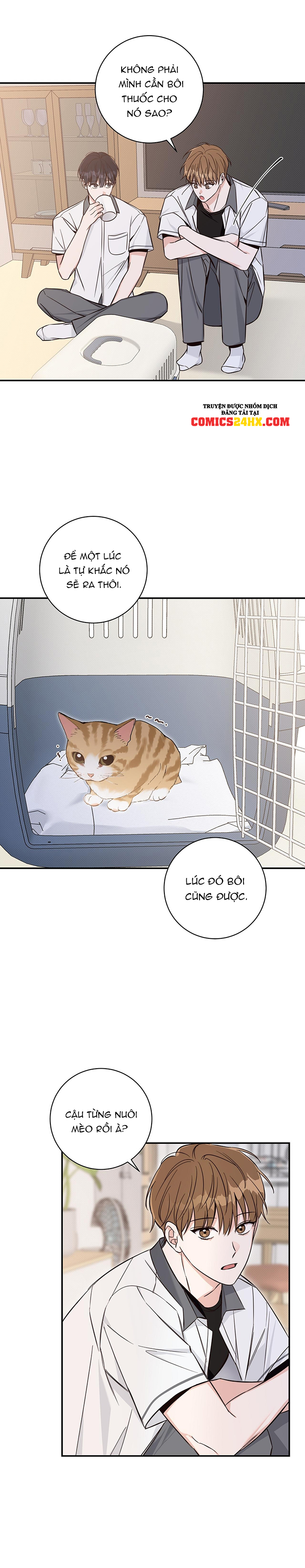 mùa hạ chapter 6 15