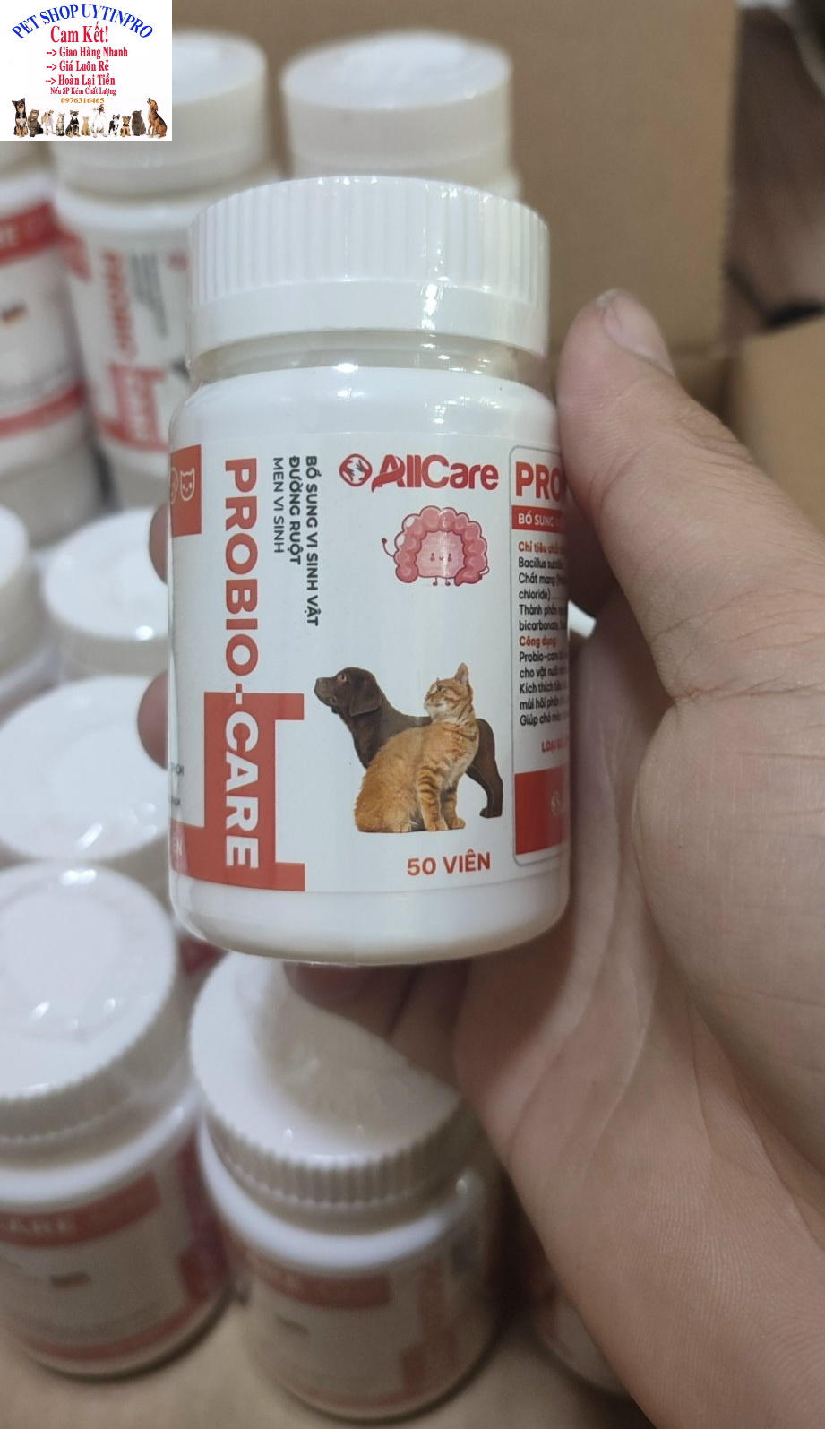 1 Viên bổ sung men vi sinh vật đường ruột cho Chó Mèo Probio-Care Giúp cải thiện hệ tiêu hóa thú cưng Nliệu NK từ Đức