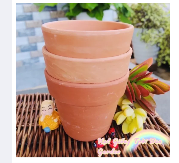 Chậu đất trồng sen đá