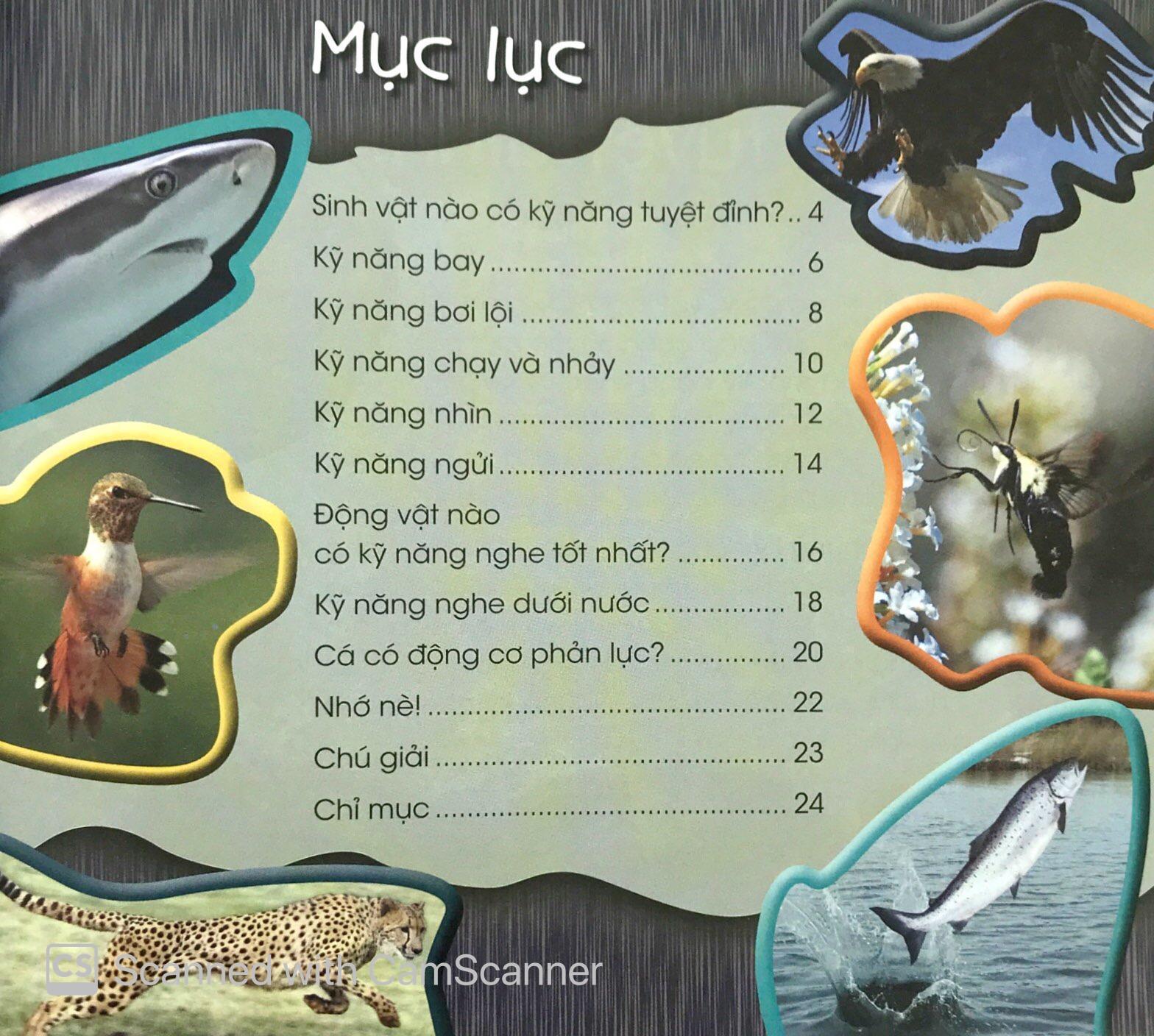 Độc Lạ Phi Thường - Kỹ Năng Tuyệt Đỉnh