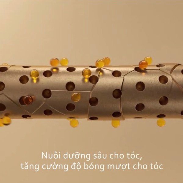 Dầu gội phục hồi đa tầng nấm Truffle Weilaiya