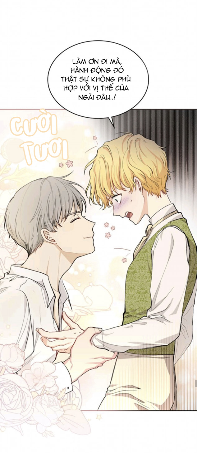 đi tìm nàng camellia chapter 0 26