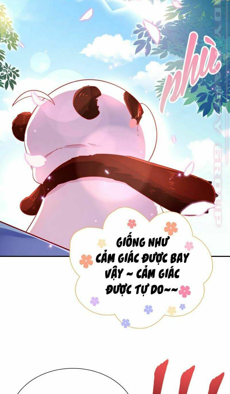 thiên thần gấu trúc muốn được ôm chapter 59 16