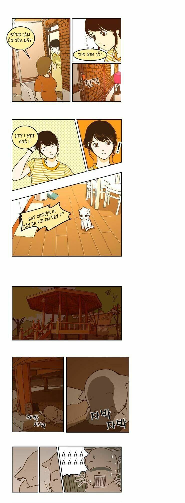 papi nyang chapter 5 6