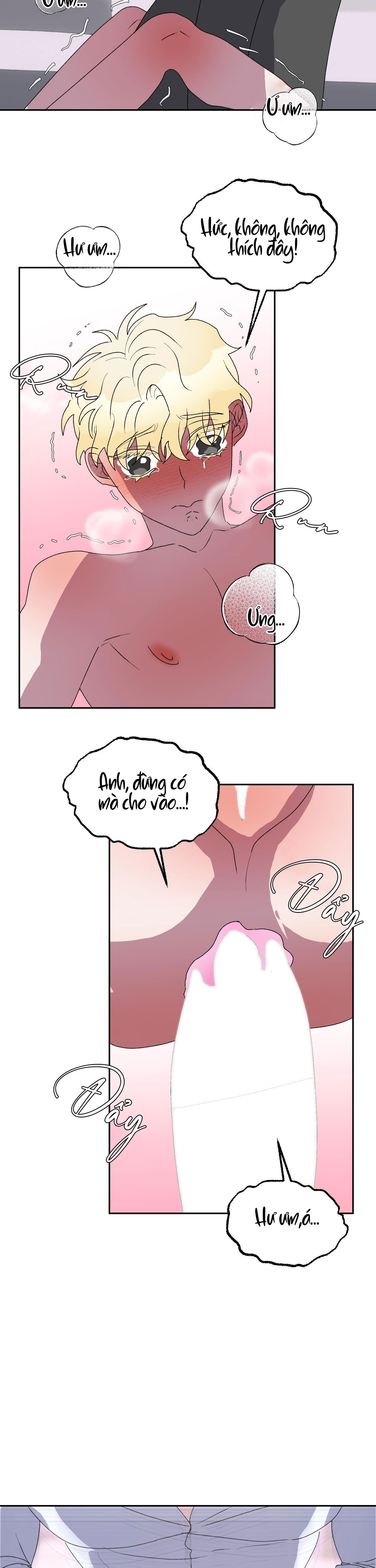 cá mập và cô dâu thỏ chapter 11 23