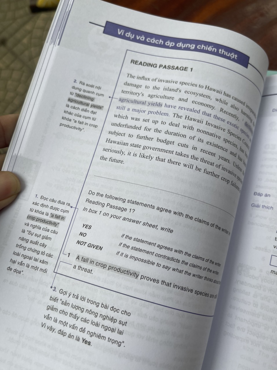 Combo 4 cuốn HACKERS IELTS BASIC - Bộ sách luyện thi IELTS dành cho người mới bắt đầu có kèm giải thích đáp án chi tiết  (Listening - Reading - Speaking – Writing) – Alphabooks – NXB Thế Giới (bìa mềm)