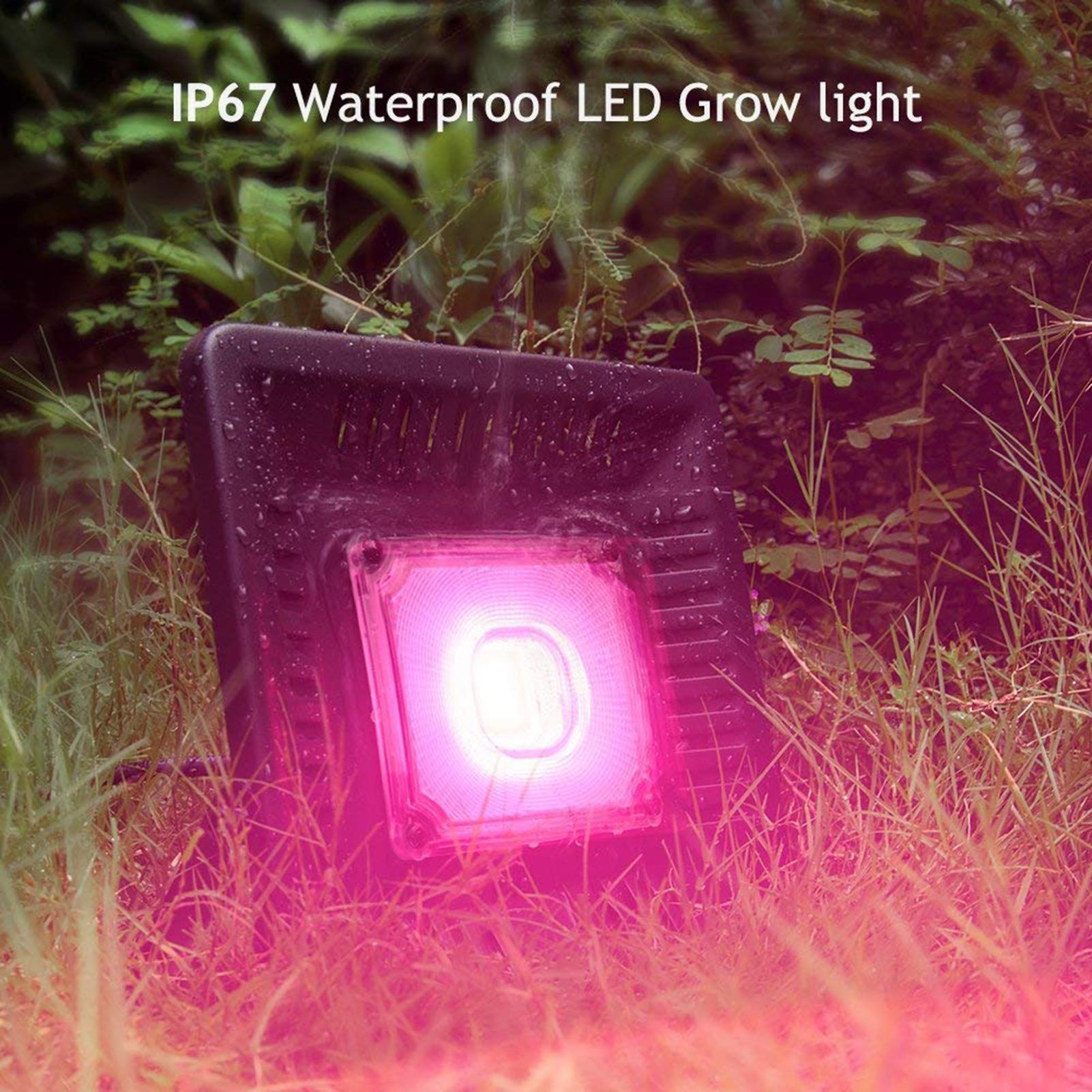 Đèn led kích thích cây trồng phát triển 150W với Ánh sáng Grow Full Spectrum tốt nhất, chip LED hiệu quả cao,khả năng chống thấm nước và chống bụi IP67