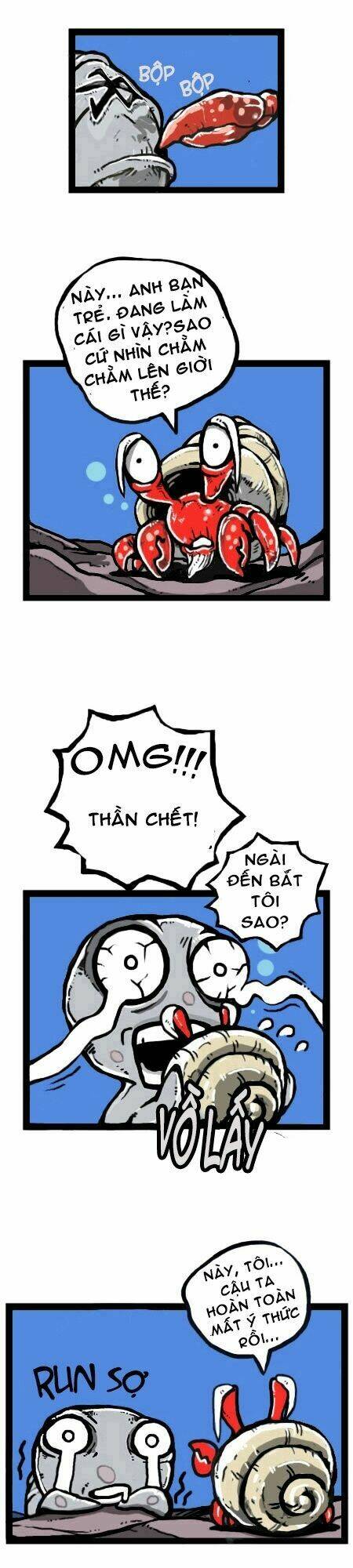 earth, human, and animal chapter 17 8