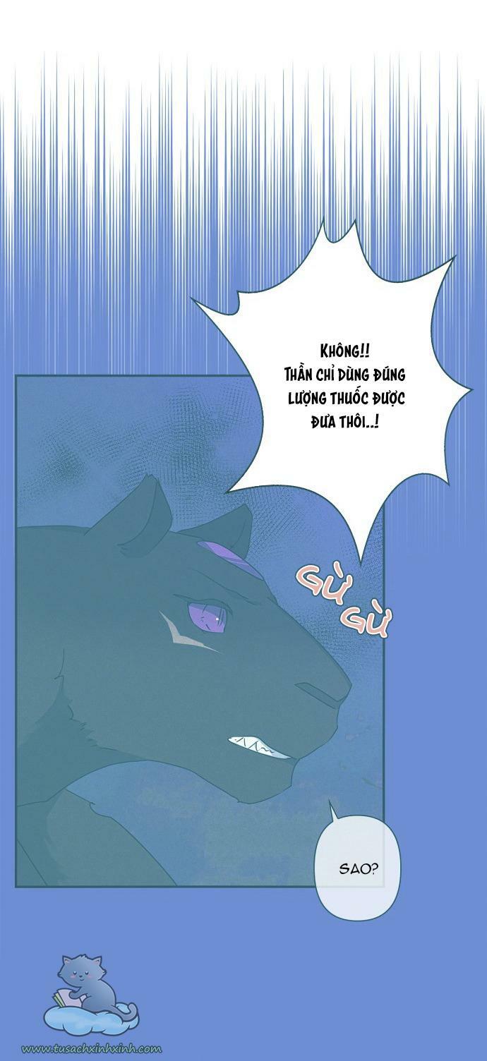 tôi đang nuôi dưỡng một con quái thú chapter 55 63