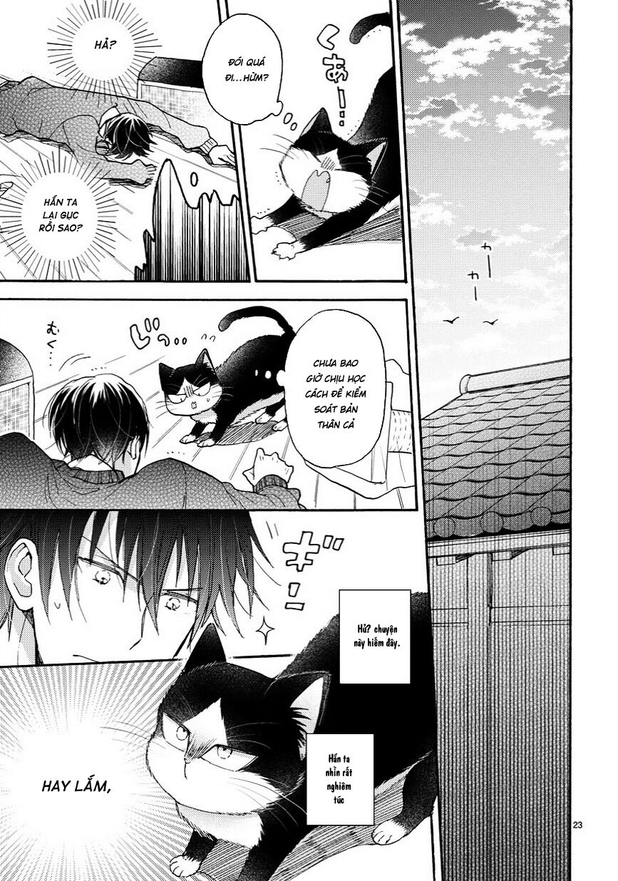 doukyonin wa hiza, tokidoki, atama no ue chapter 6.5 3