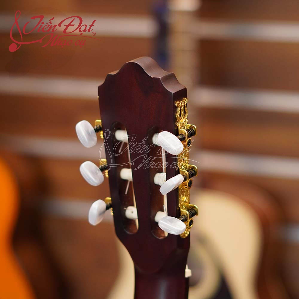 Đàn Classic Guitar Việt Nam GC-18HL, Gỗ Thông Chất Lượng Cao