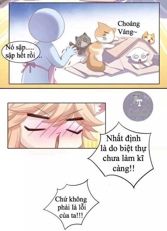 dưới móng vuốt mèo chapter 13 38