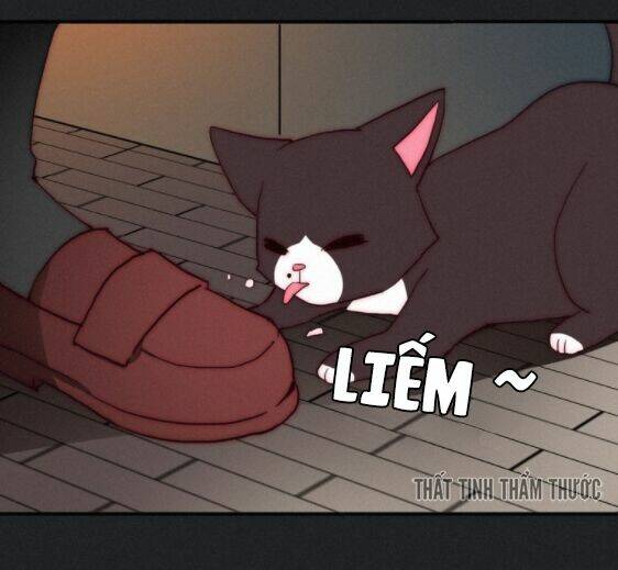 đêm tối chốn này chapter 1 46