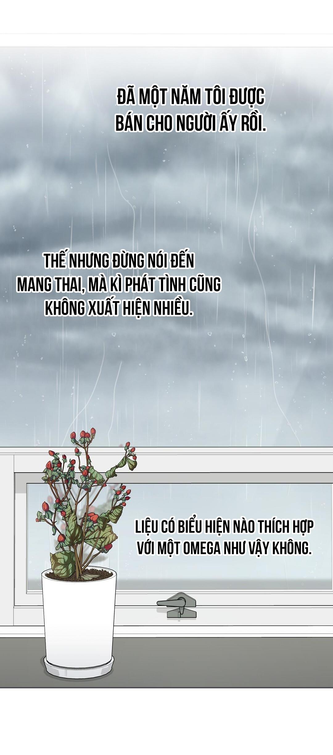 macguffin chapter 2 16