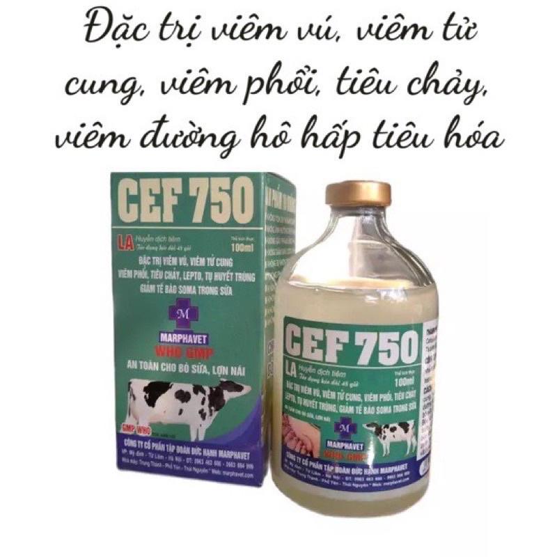 1 lọ CEF 750 100ml dùng cho viêm vú, viêm tu cung trên chó mèo trâu bò lợn gà