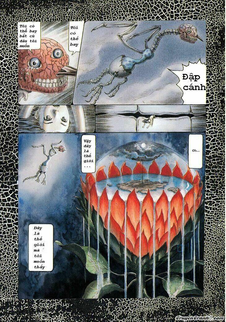 the garden chapter 1 17