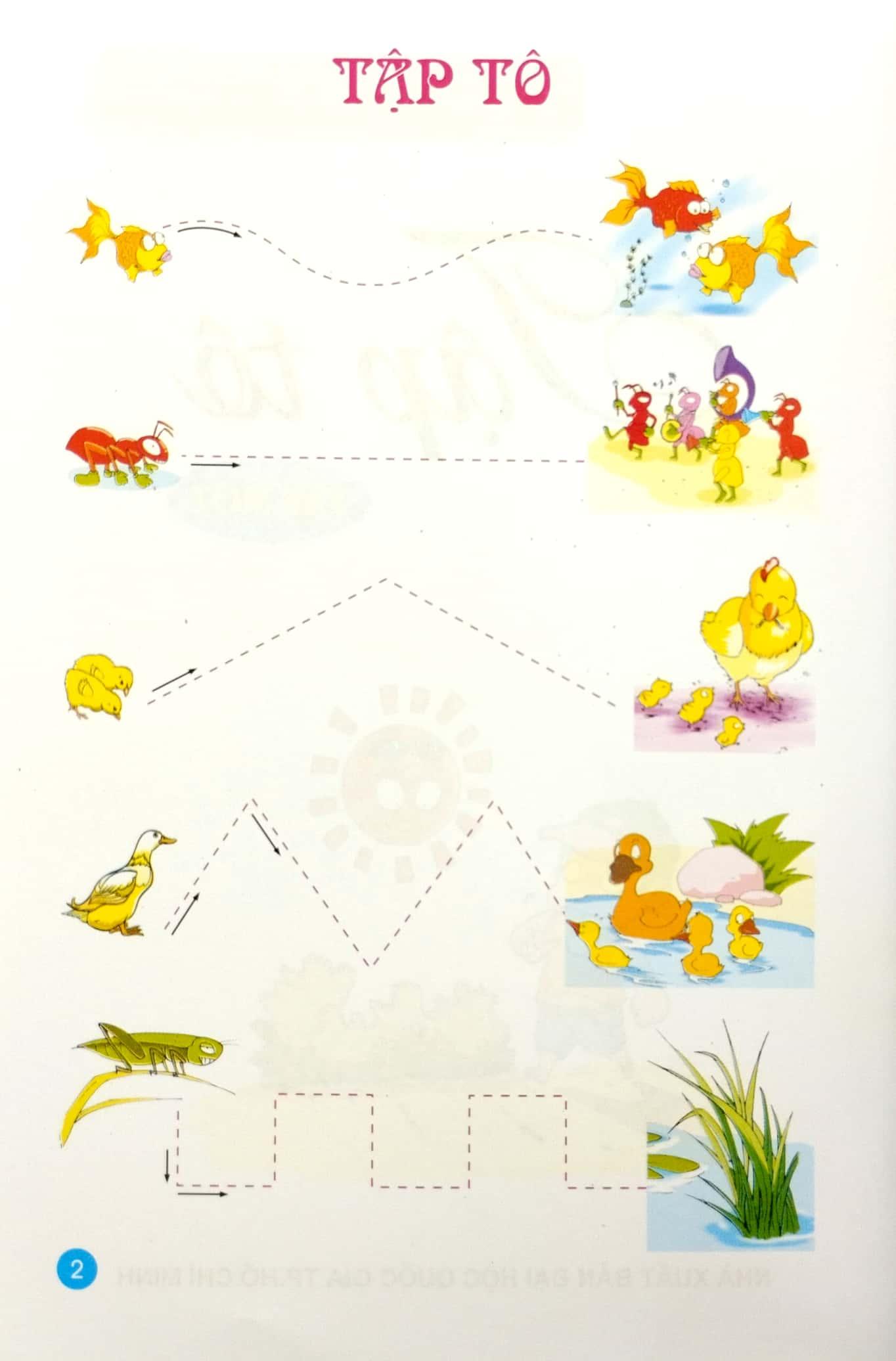 Tập Tô 1 - Dành Cho Bé 4 - 5 Tuổi