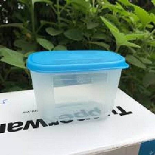Hộp trữ đông thực phẩm 650ml