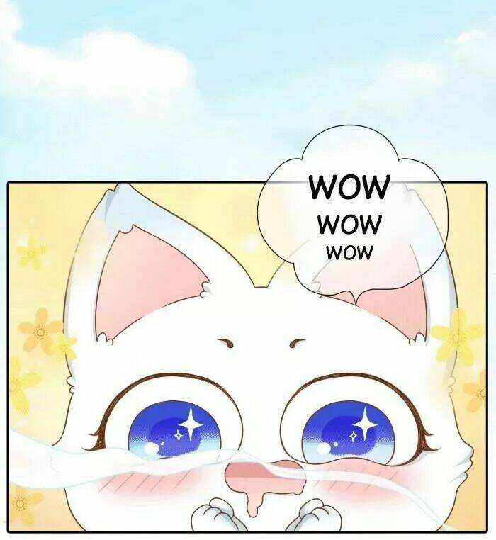 tiểu hồ ly vs tiểu hóa thượng chapter 31 7