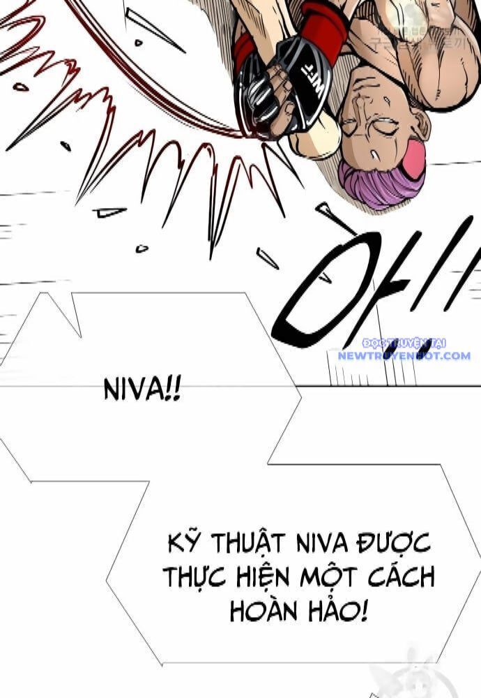 shark - cá mập chapter 264 31