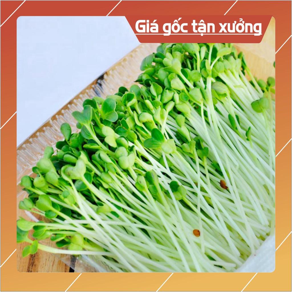 Hạt Giống Rau Mầm Cải Ngọt - gói 100g