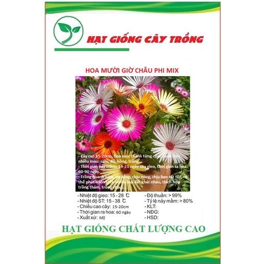 Hạt giống hoa mười giờ châu phi mix màu CT213 - Gói 20 hạt