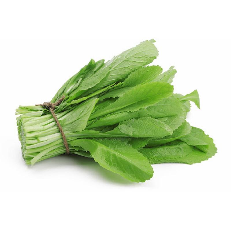 Hạt giống cải xanh
