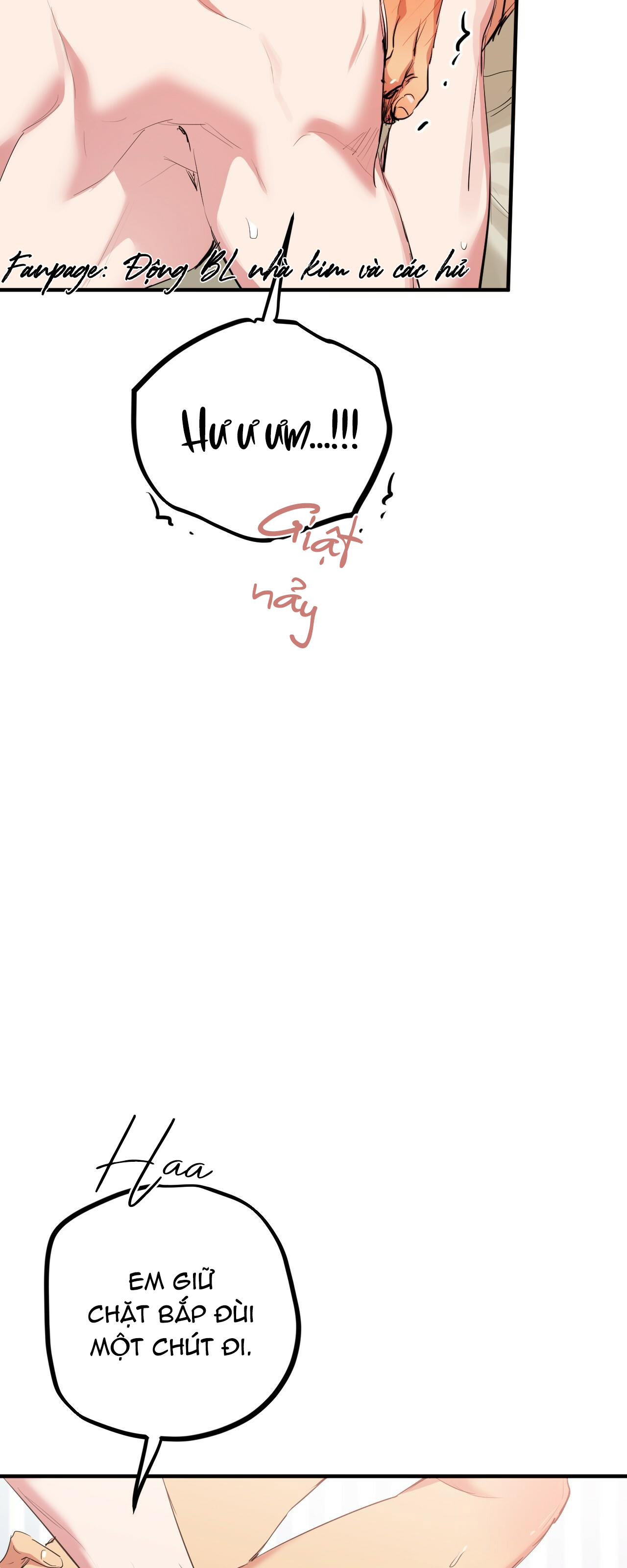 những chú thỏ của hapypy chapter 38 20