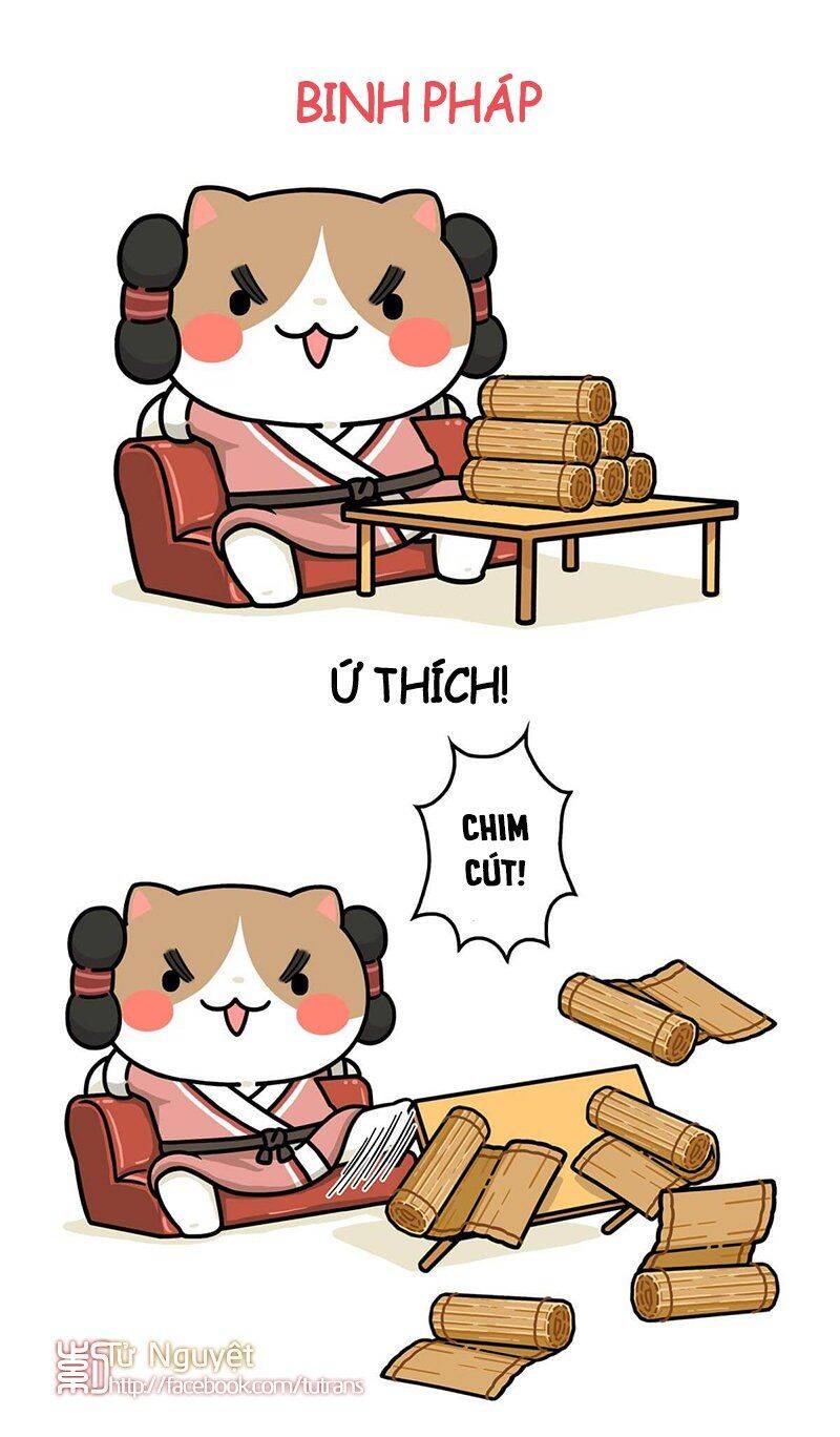 nếu lịch sử là một bầy mèo chapter 29 14