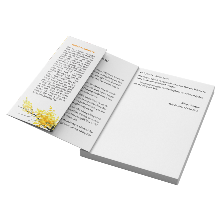 BỘ SÁCH "TIẾC" - Sách Tôn Giáo, Nghệ Thuật Và Văn Hóa, Tác Giả KHENPO SODARGYE - Á Châu Books, bìa mềm, in màu